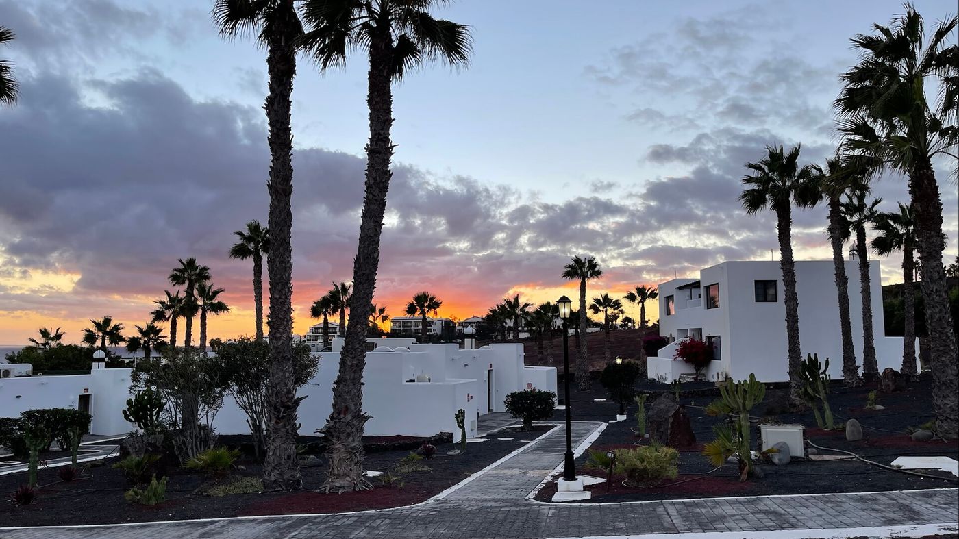 13.03.26 PALMERAS GARDEN