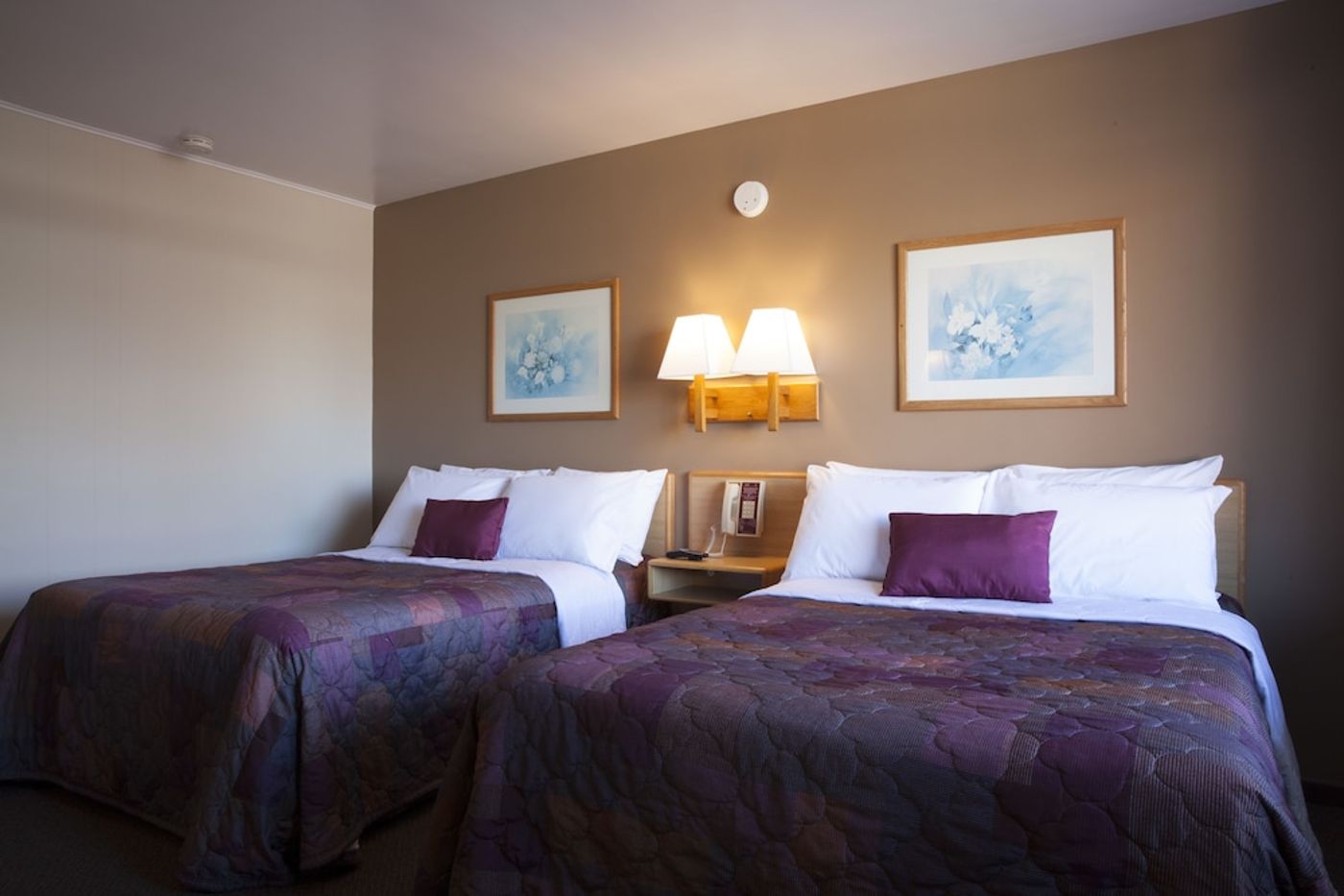 expedia-3161366-12