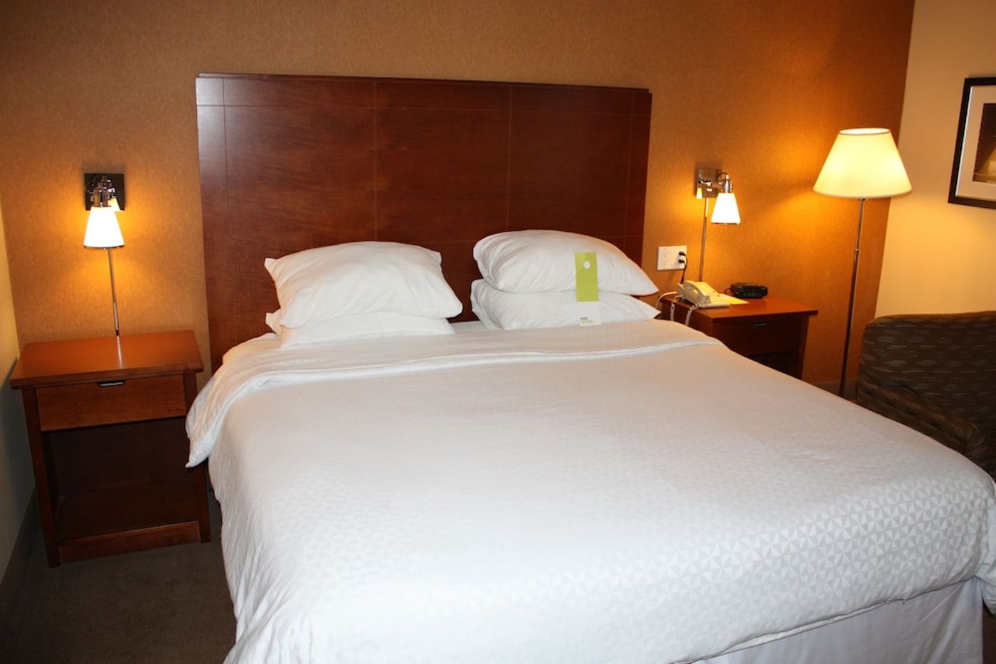 expedia-3158225-14