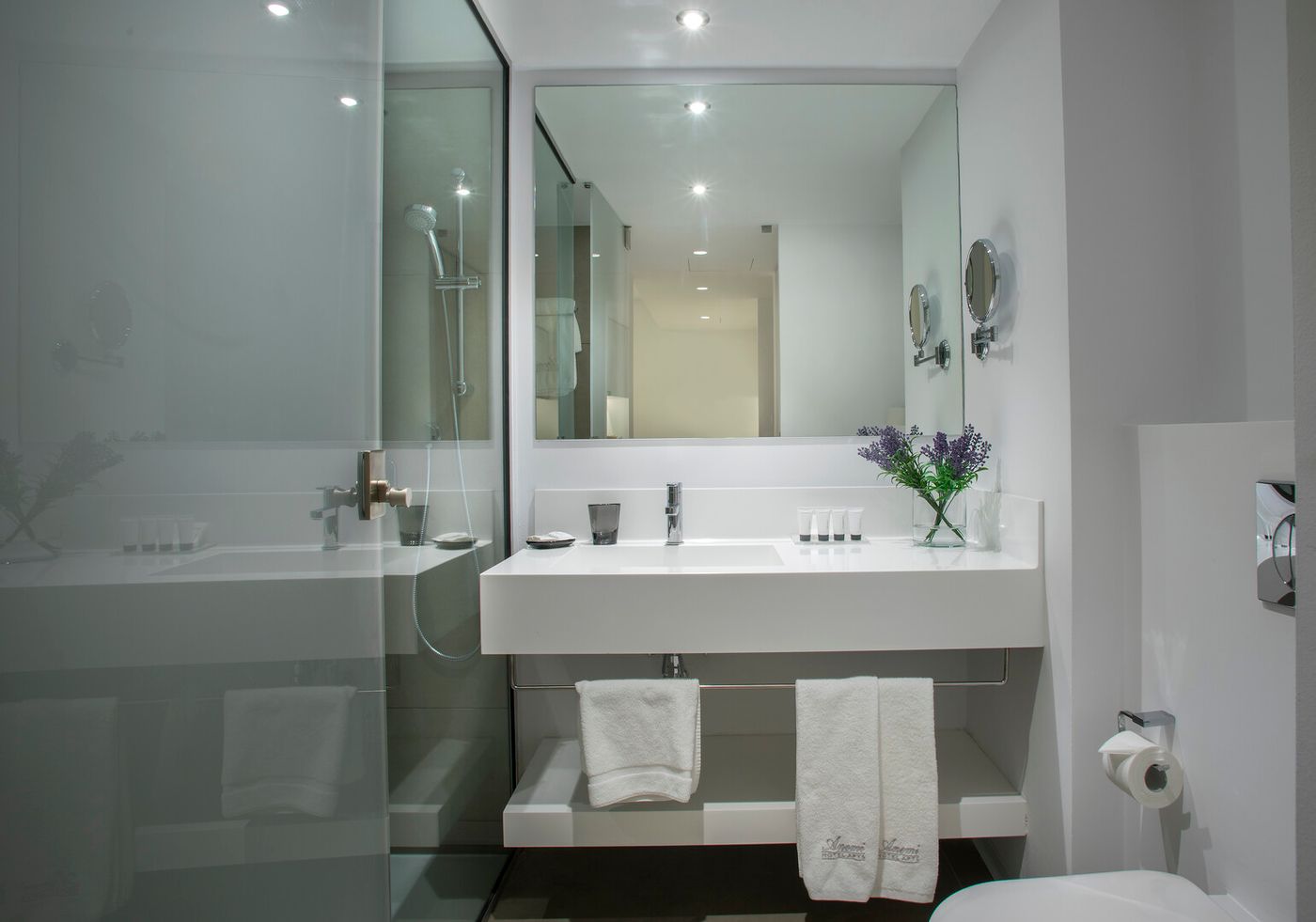 Anemi Hotel & Suites 14.04 2