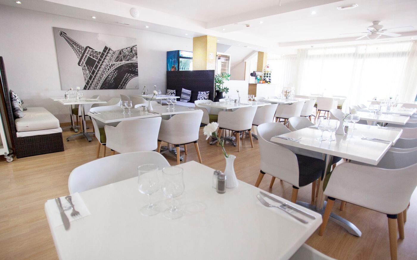 24.03.26 Coral Los Alisios