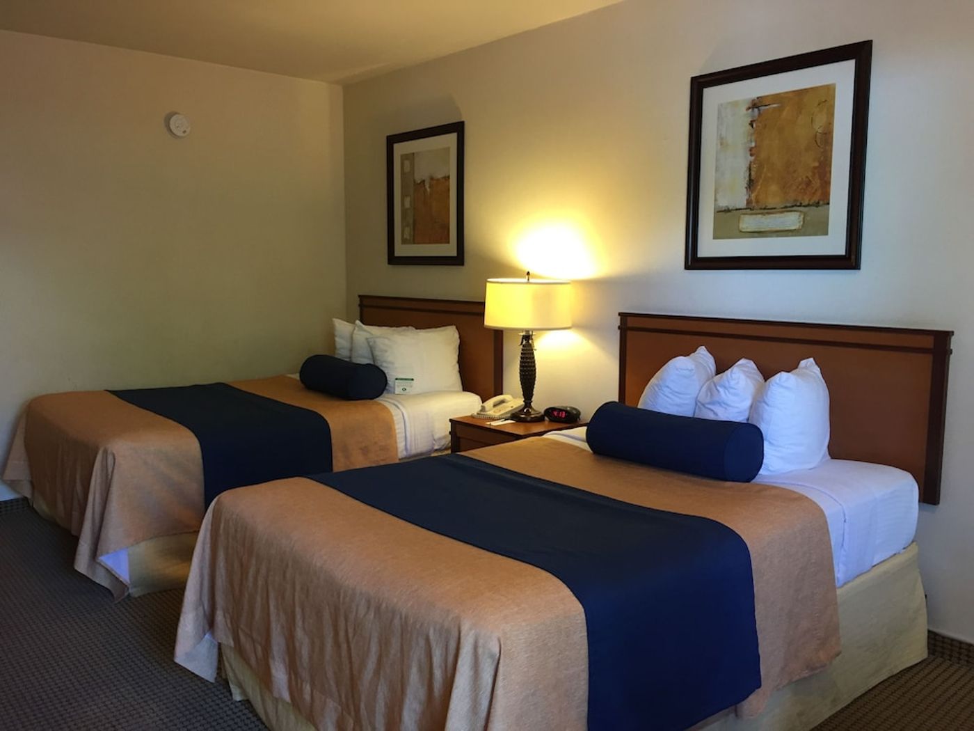 expedia-3158863-10