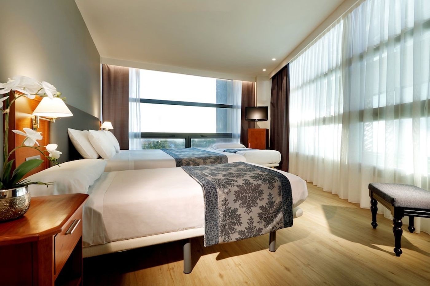 expedia-3161203-22