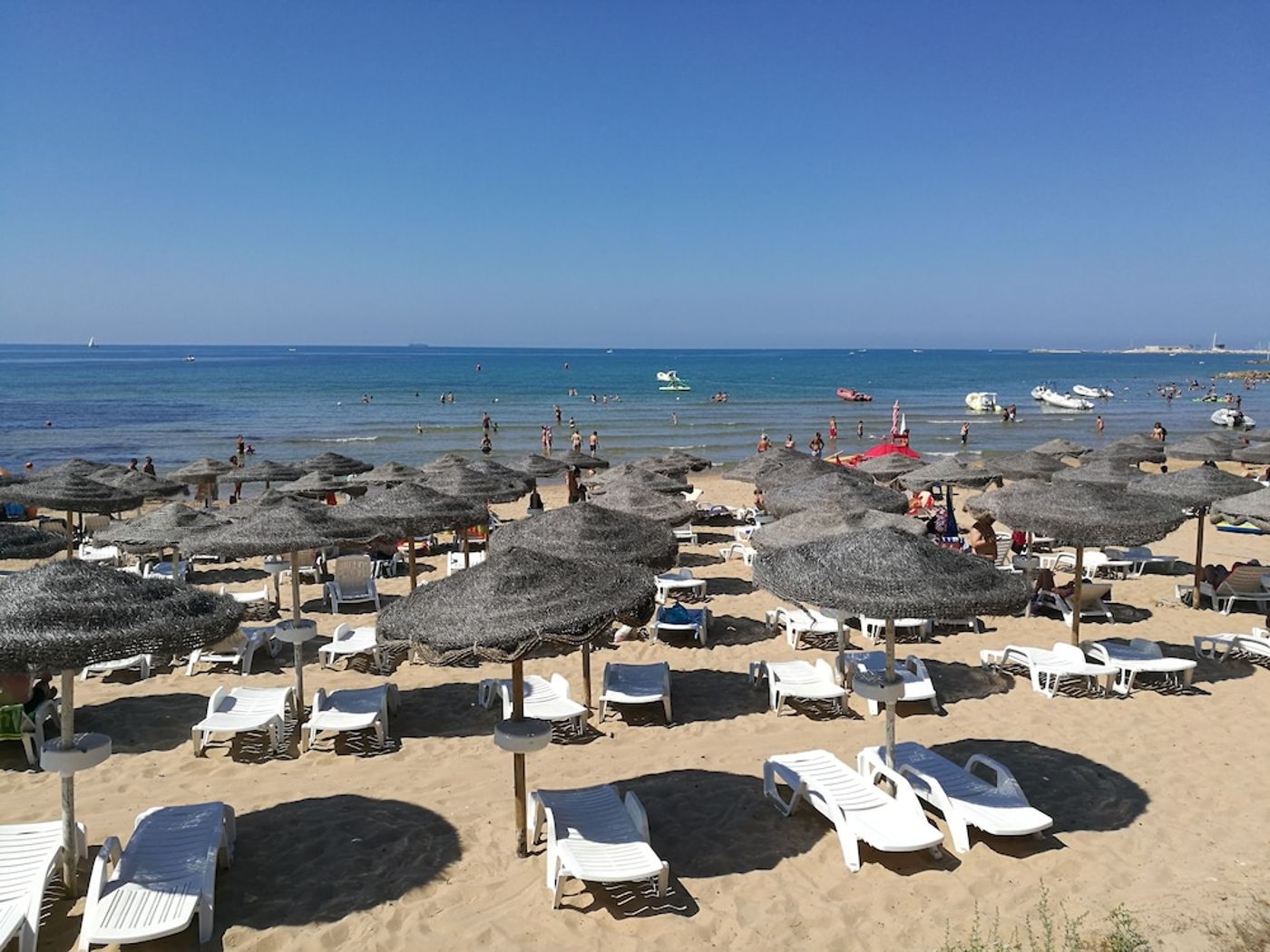 expedia-3166789-1