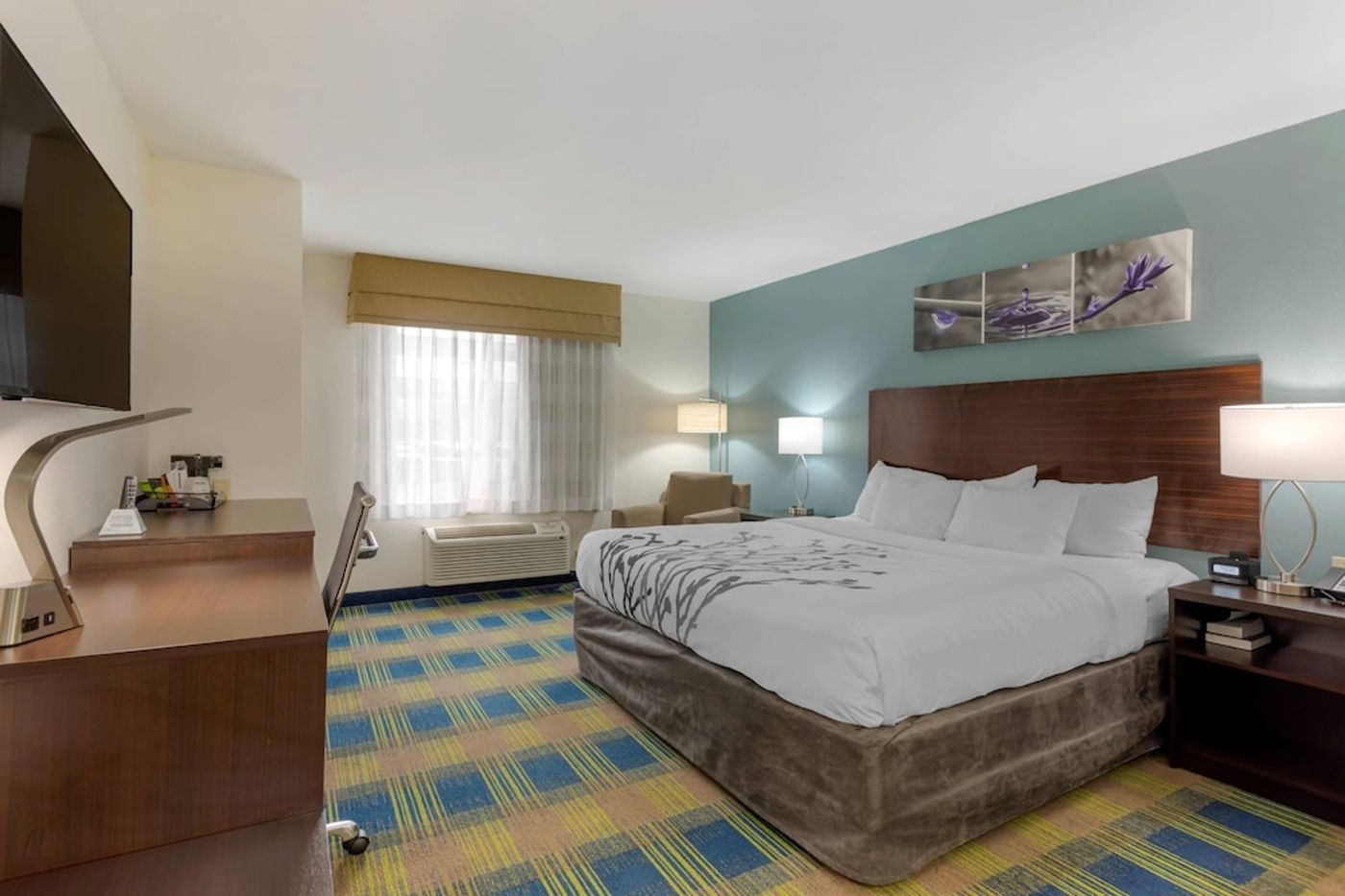 expedia-3161916-23