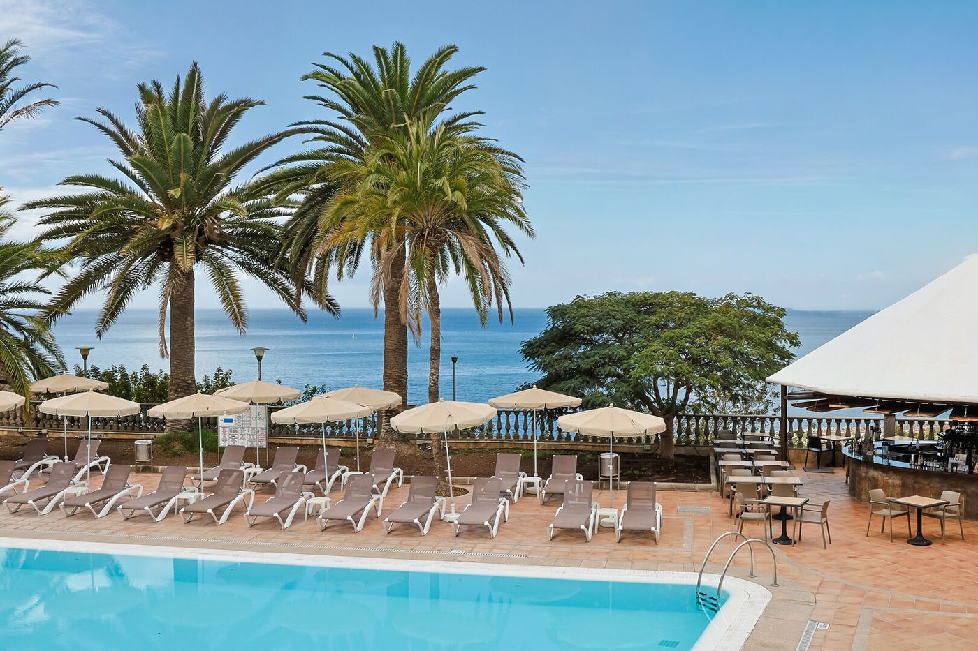 20.03.26 Chatur Palmera Mar