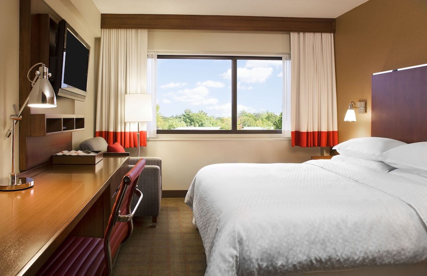 expedia-3158503-2