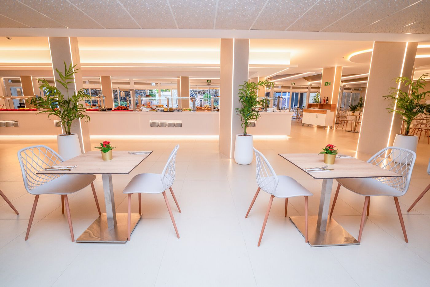 10.02.26 Sahara Playa