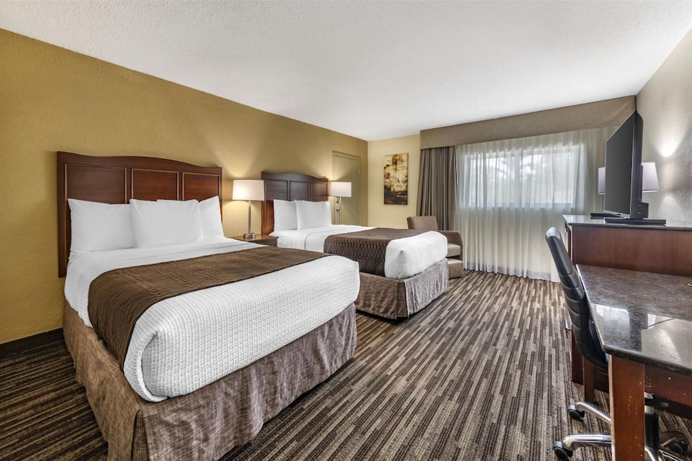 expedia-3162351-23
