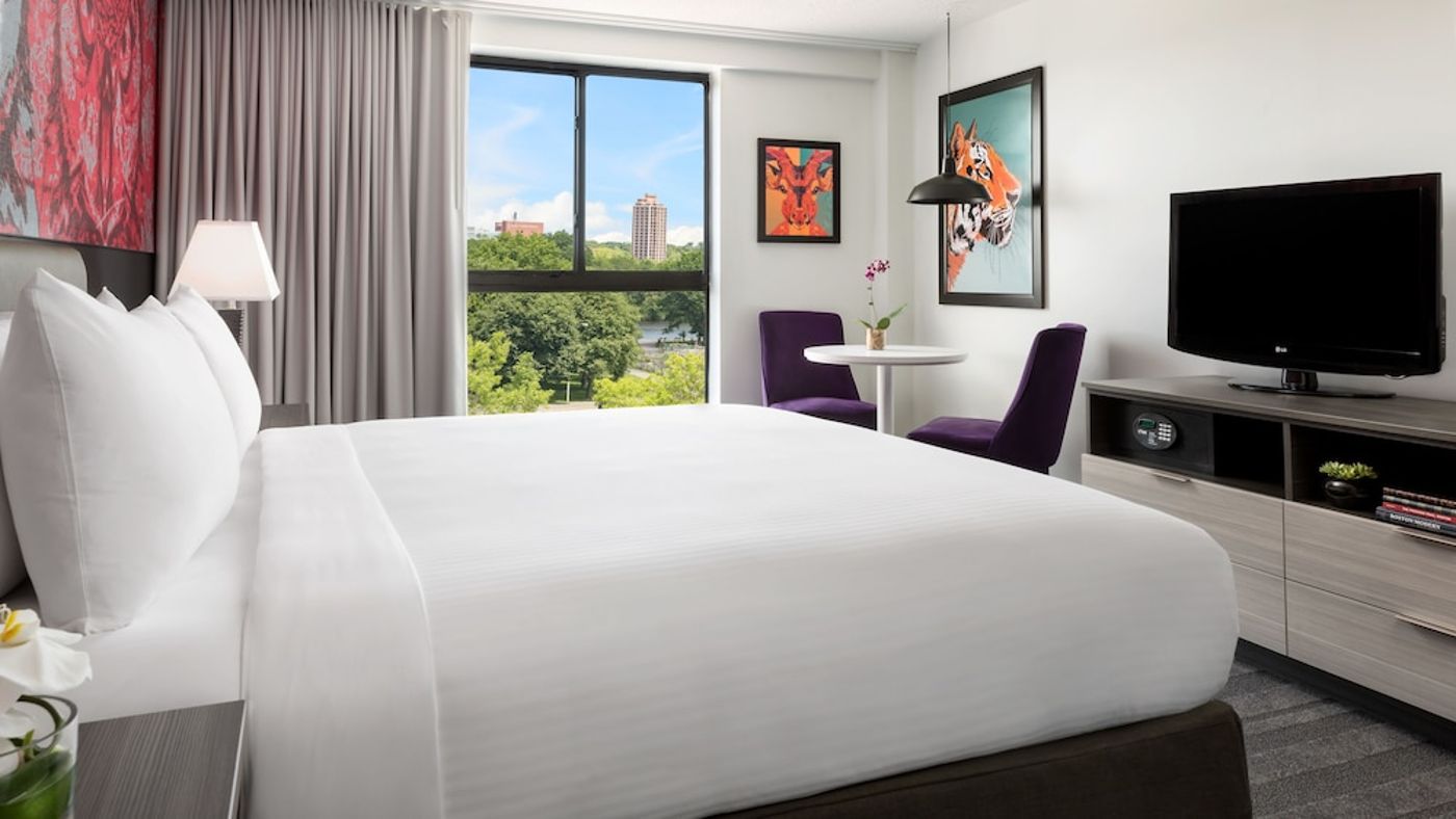 expedia-3158454-3