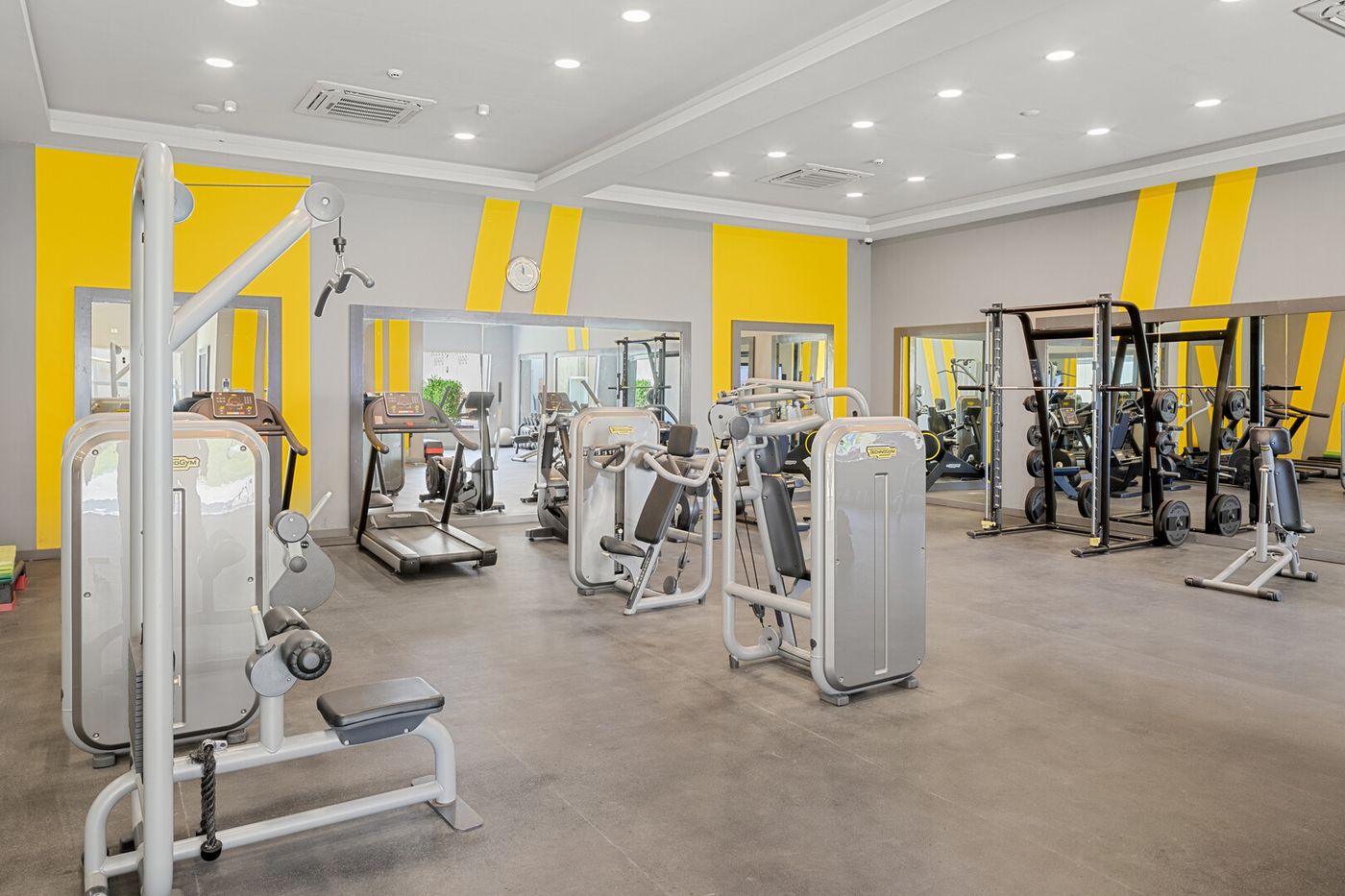  Beach Albatros Resort 30.01.