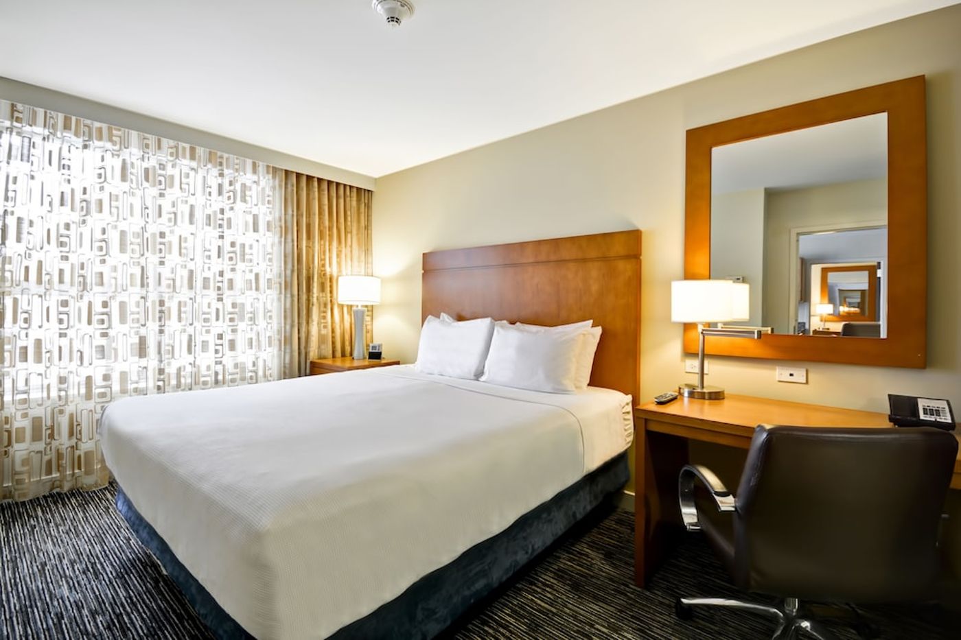 expedia-3162152-2