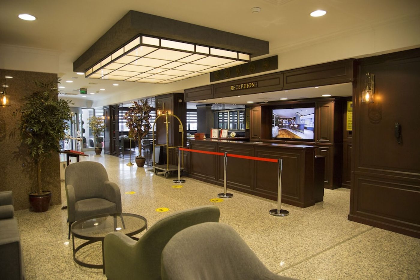 expedia-3137645-1
