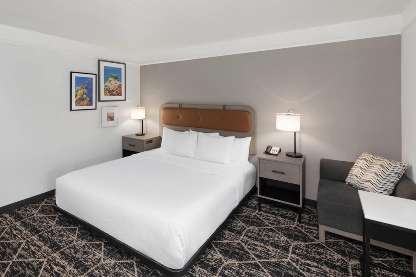 expedia-3158504-22