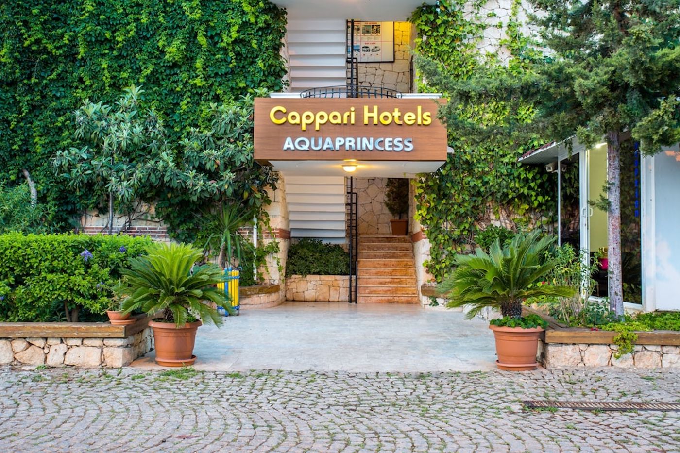 expedia-276246-3