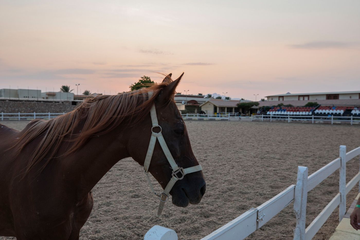 Concorde El Salam Sharm El Sheikh Sports Hotel 19.02