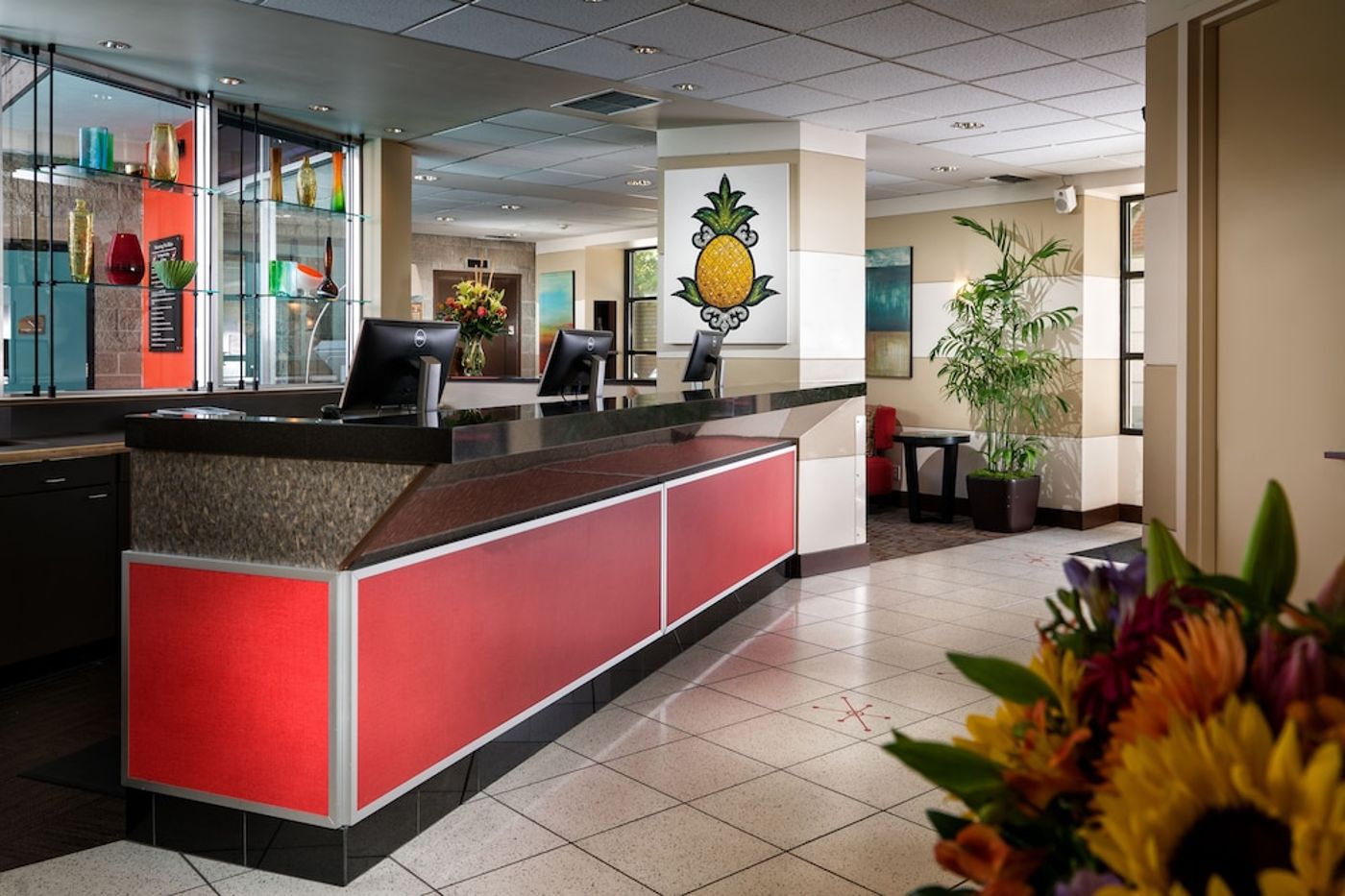 expedia-3158624-4