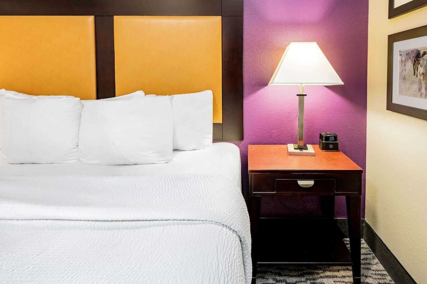 expedia-3166246-17