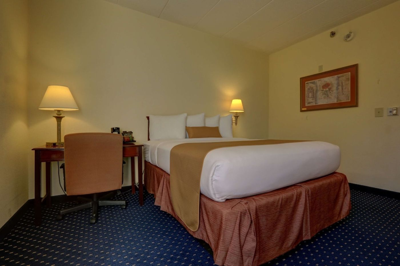 expedia-3158800-24