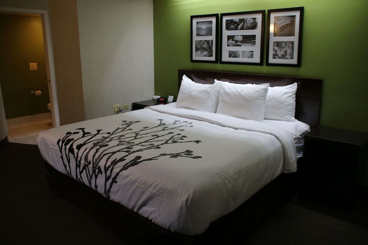 expedia-3162095-20
