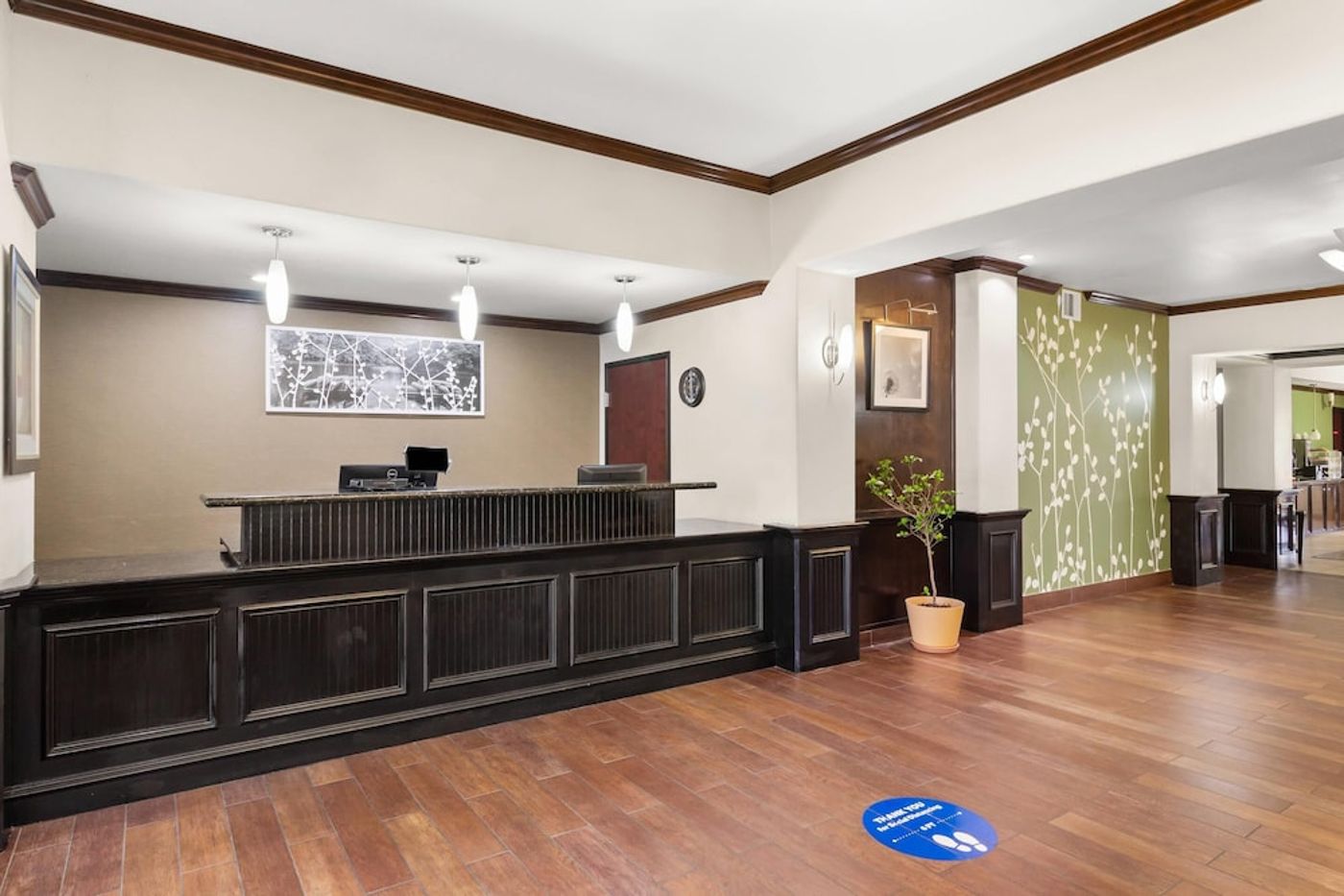 expedia-3162296-5
