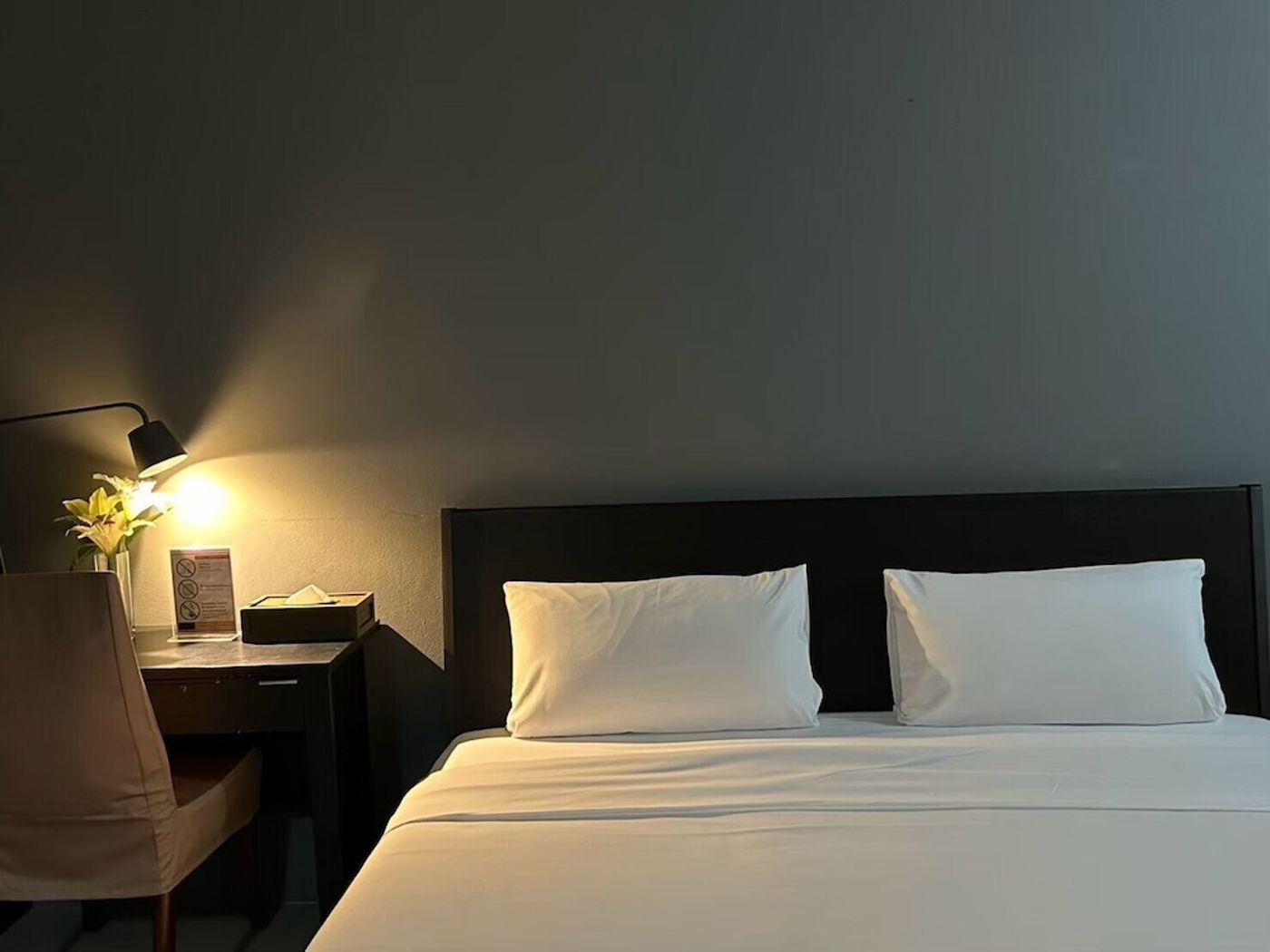 expedia-3162884-20