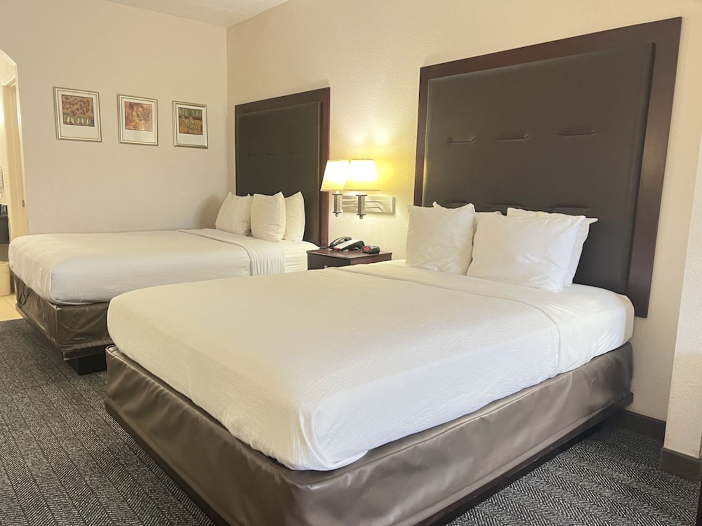 expedia-3162289-1
