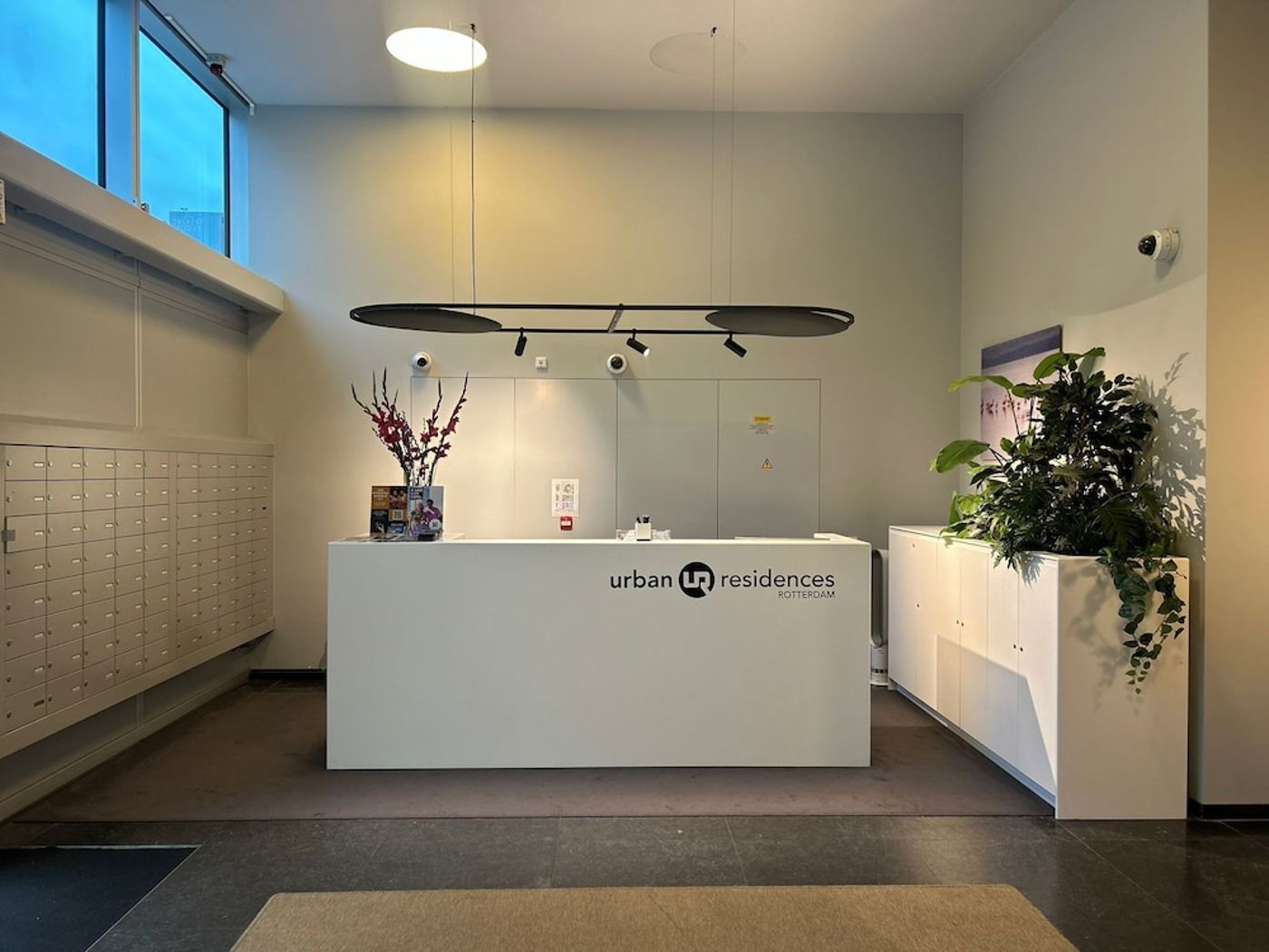 expedia-3158620-11