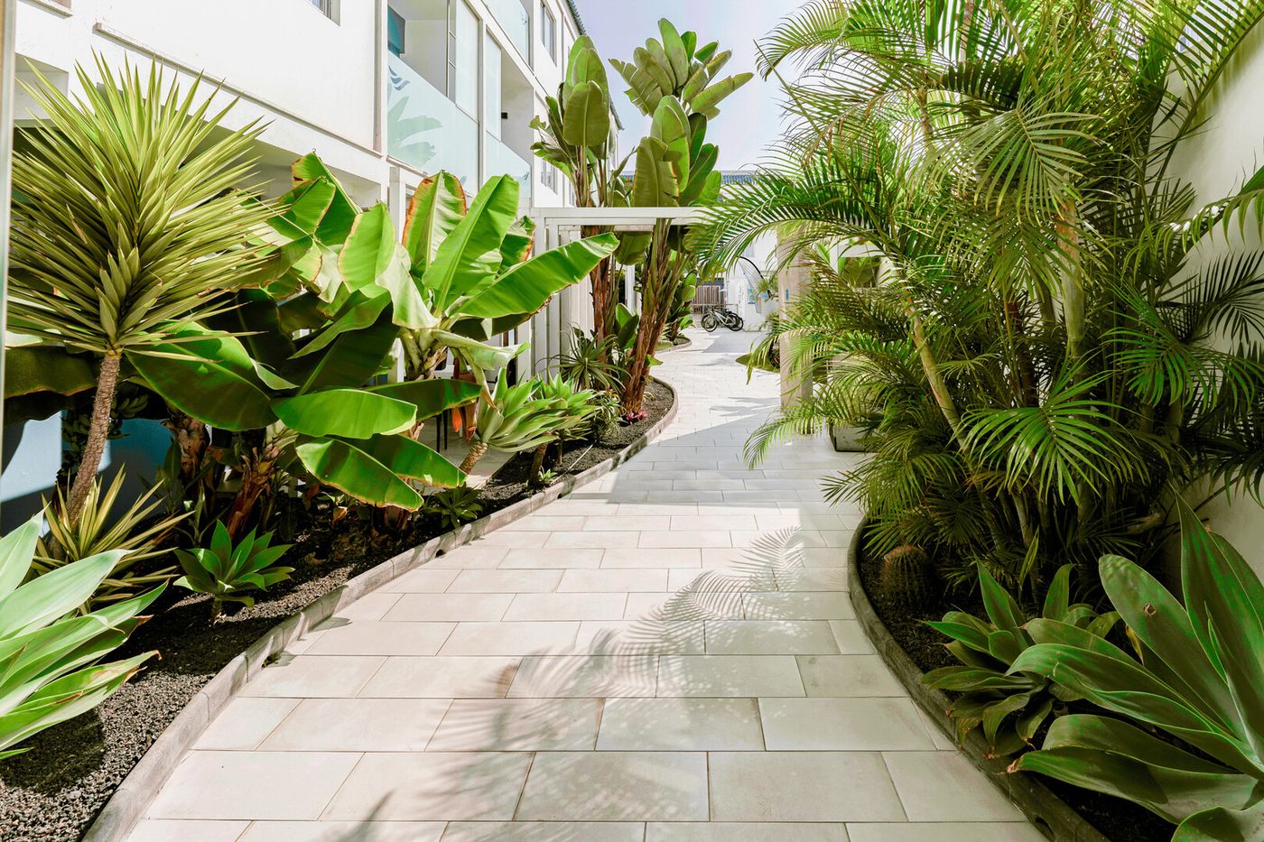 04.02.26 Bristol Sunset Beach