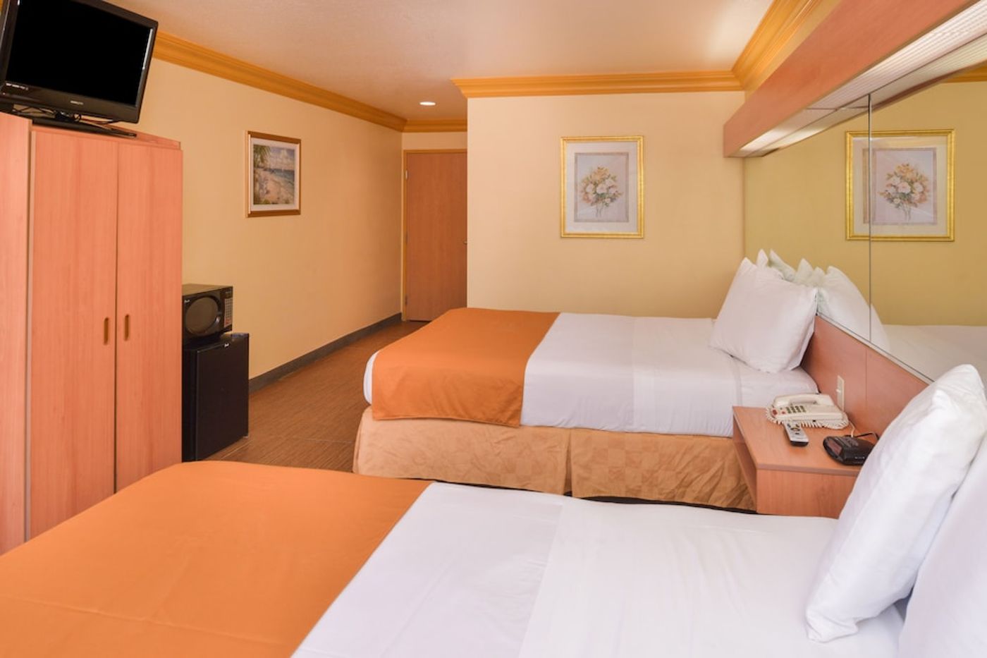 expedia-3158888-5