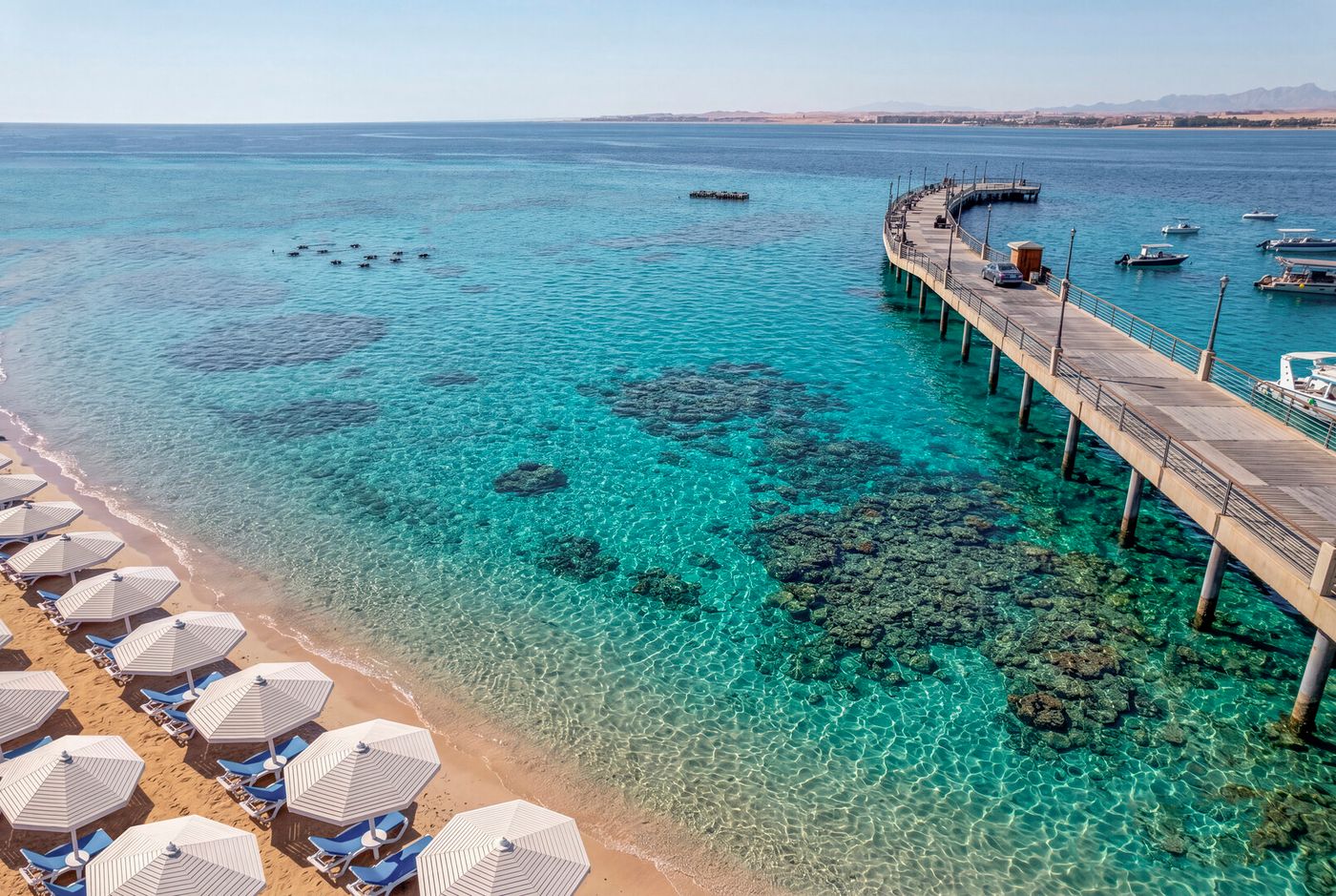 SRNTY Sahl hasheesh 18.06