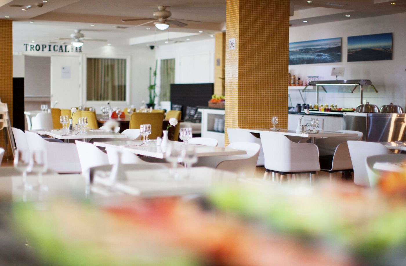 24.03.26 Coral Los Alisios