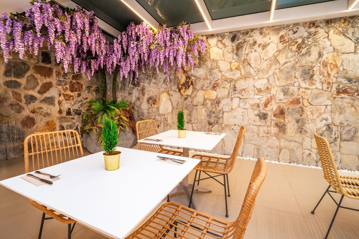 10.02.26 Sahara Playa