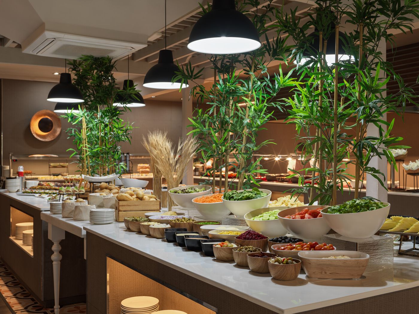 25.02.26 H10 White Suites