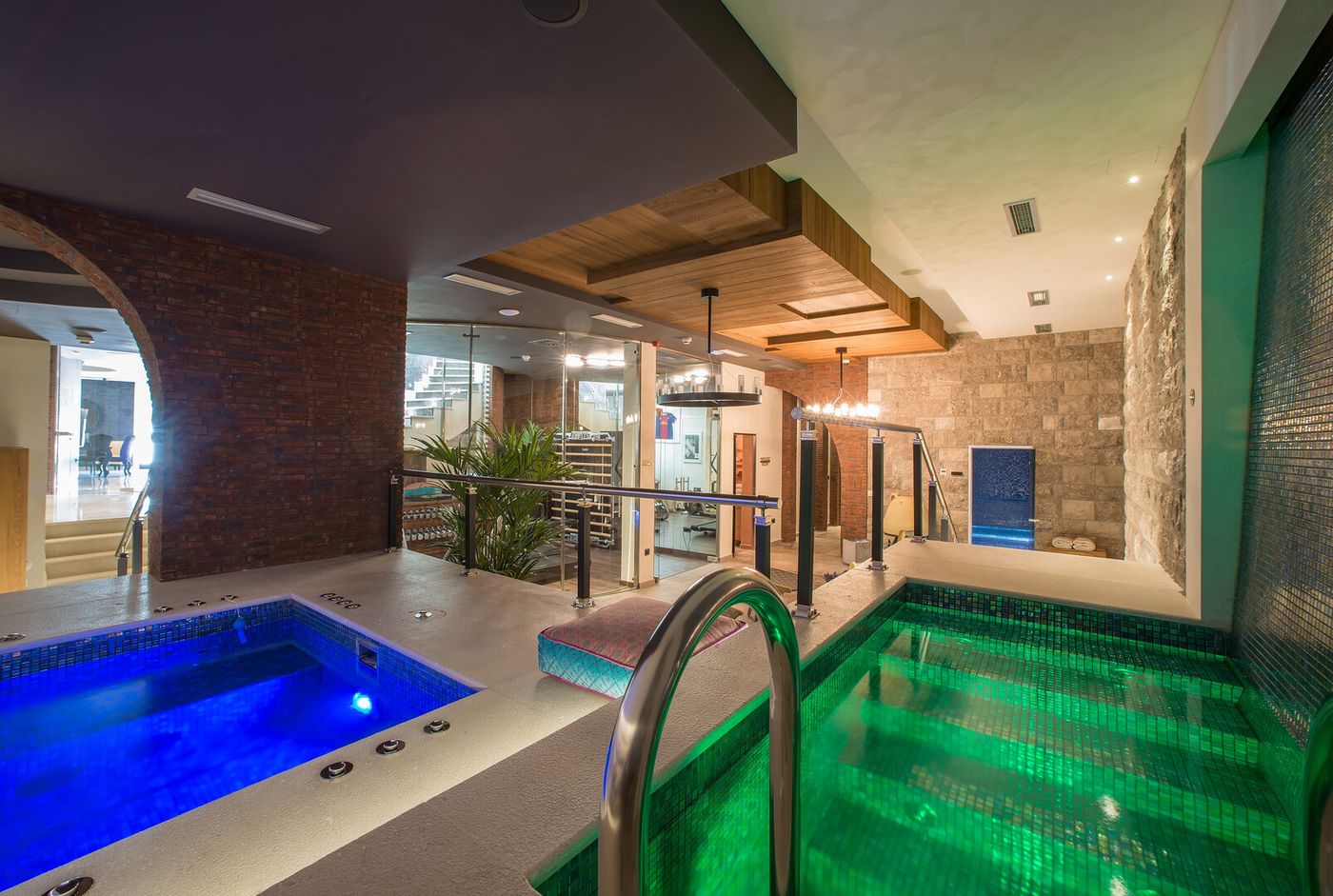 Forza Terra 19.01.26