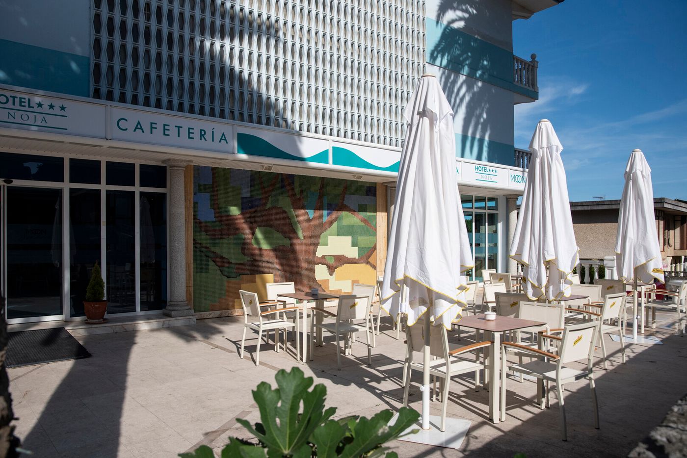 12.02.26 BLUESEA Noja