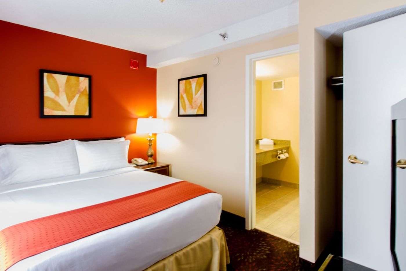 expedia-3158686-15