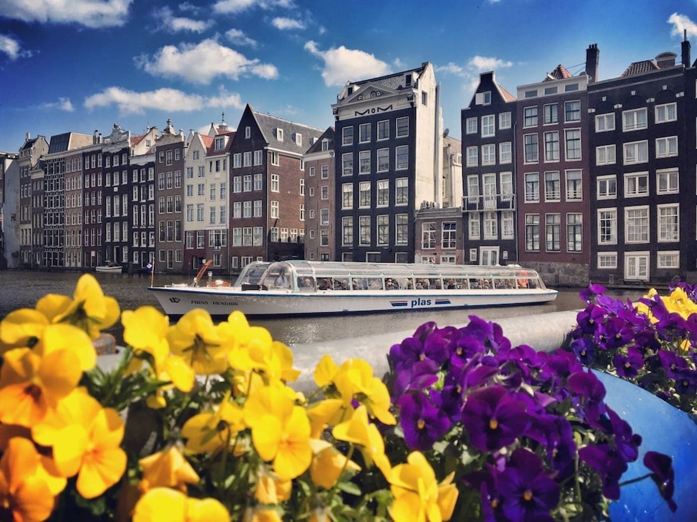 expedia-3165585-1