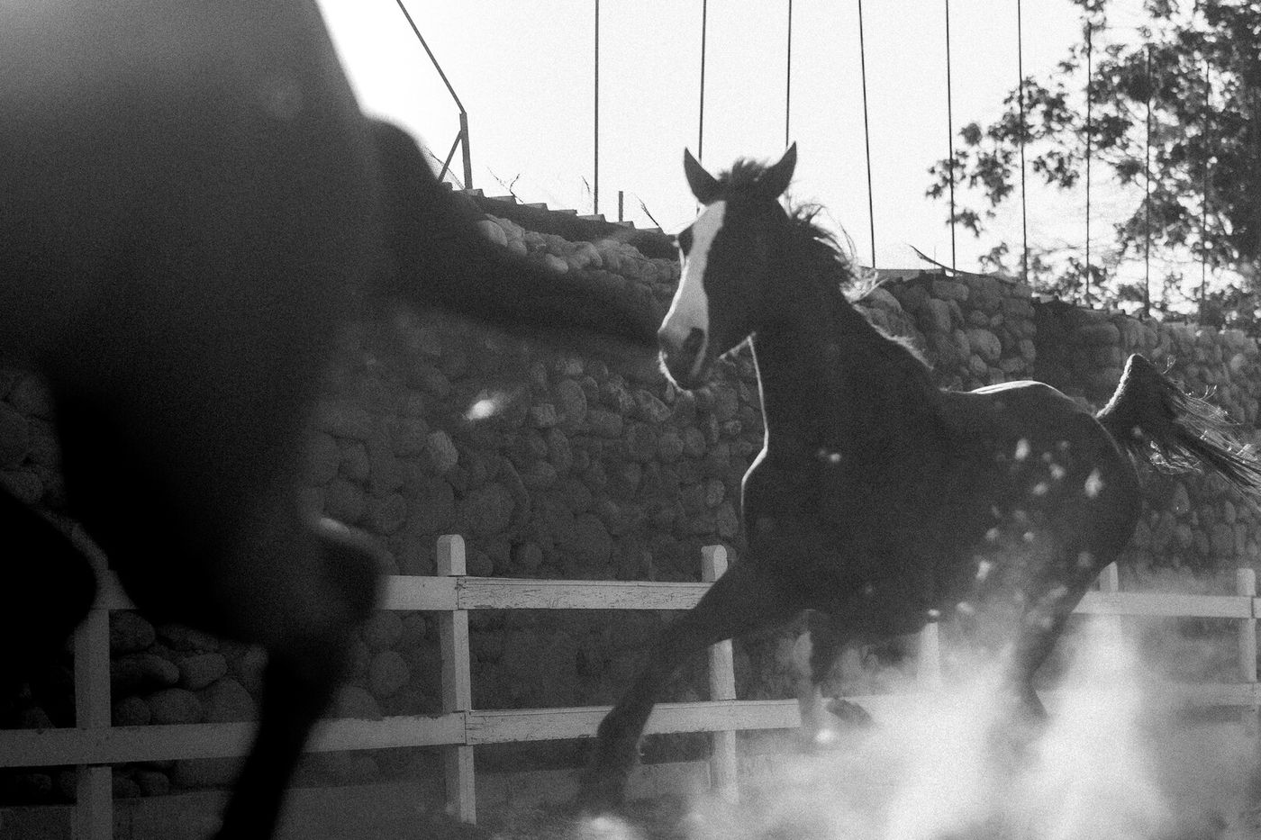 Concorde El Salam Sharm El Sheikh Sports Hotel 19.02