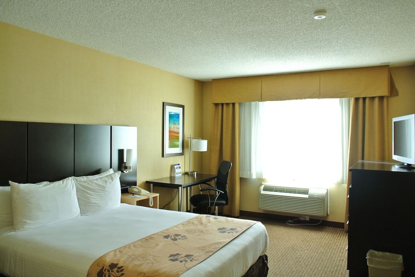 expedia-3158627-11