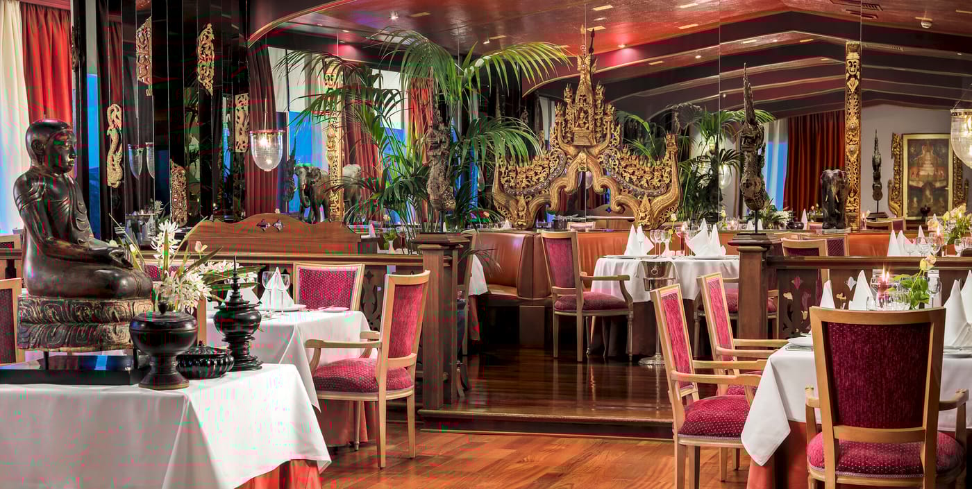 04.02.26 Hotel Botanico