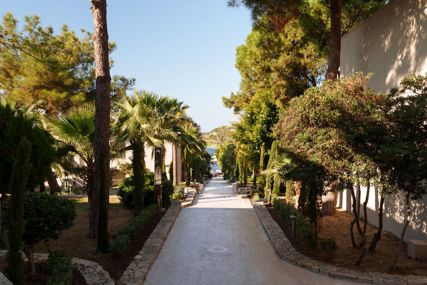 SPANISH STAIRS TO POOL.jpg