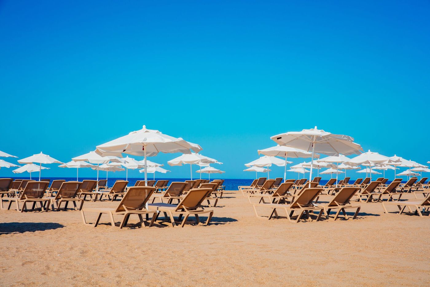 Alarcha Hotels & Resort