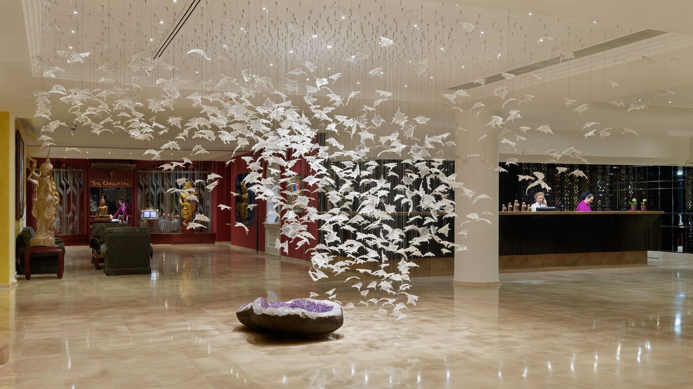 04.02.26 Hotel Botanico