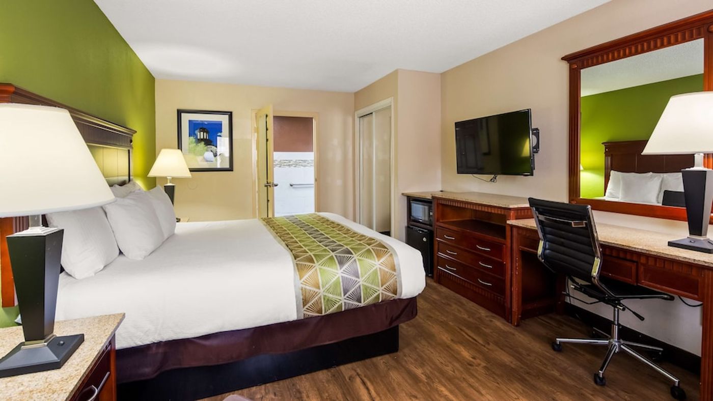 expedia-3160982-9
