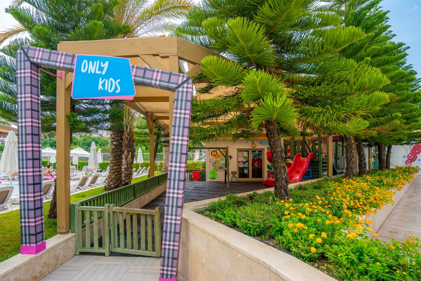 Sidera Kirman Premium