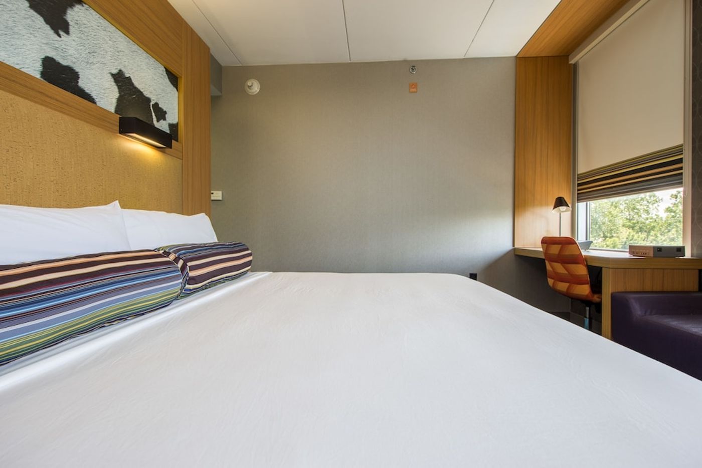 expedia-3159264-21