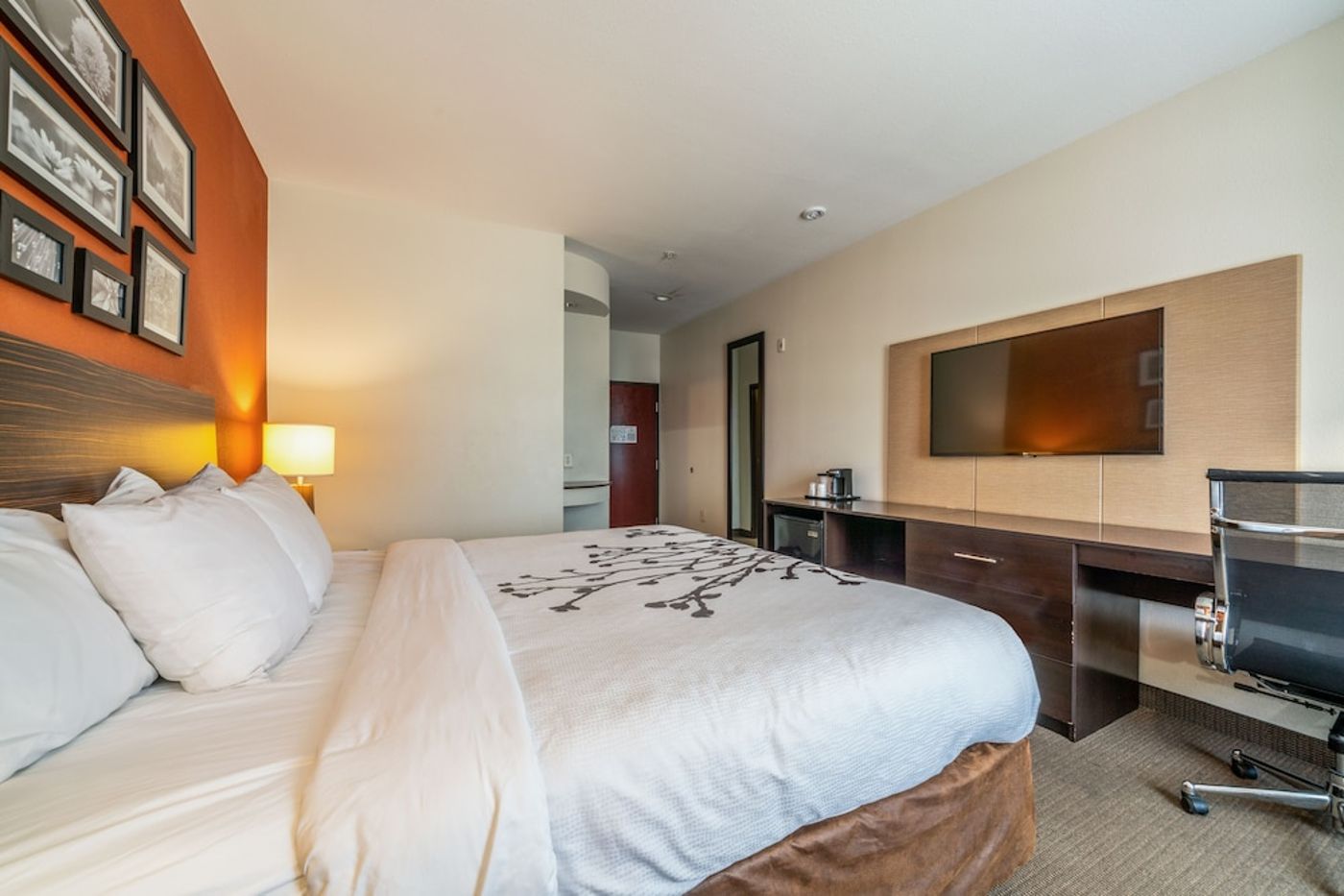 expedia-3159244-11