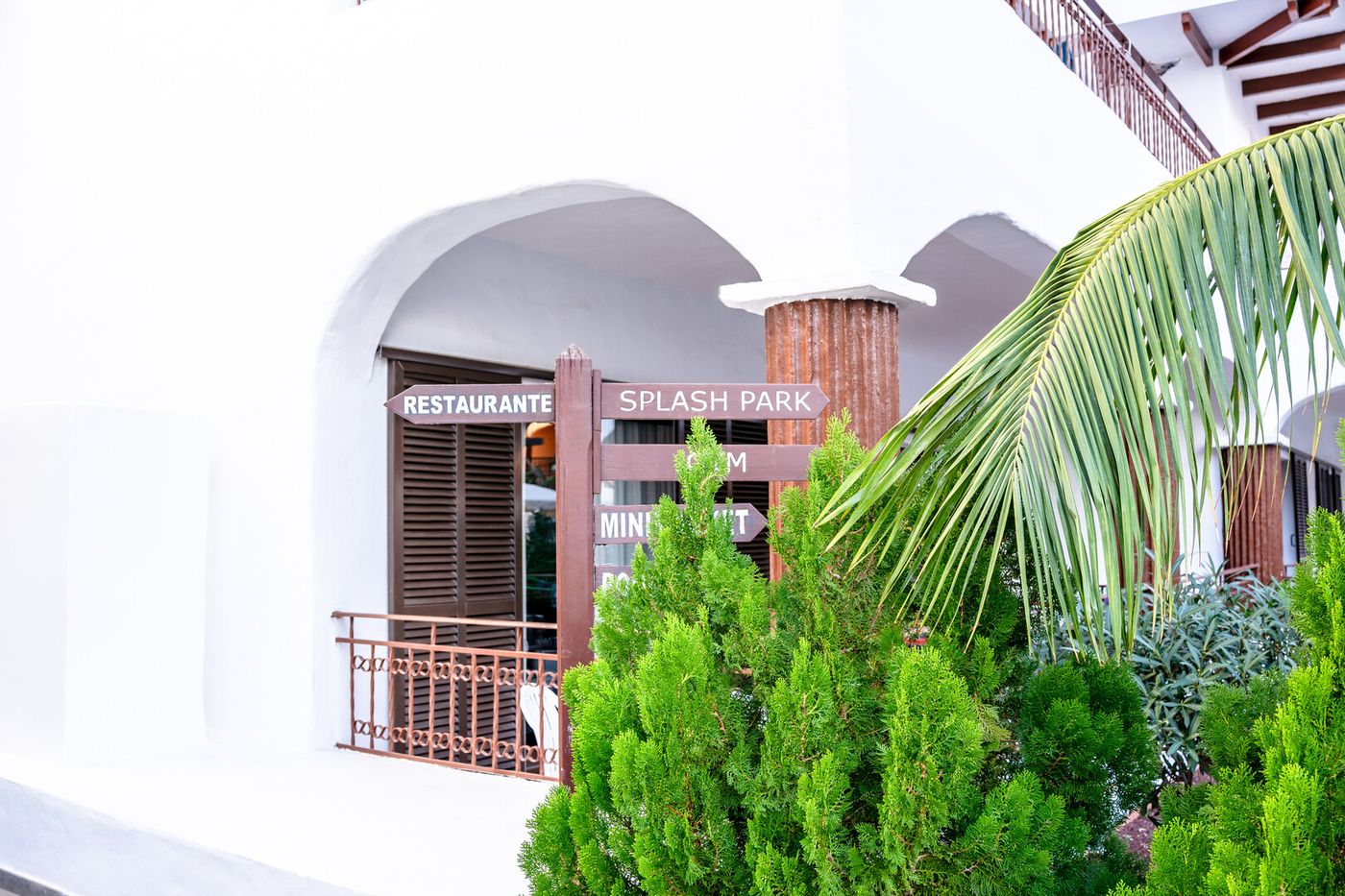 24.03.26 Coral Los Alisios