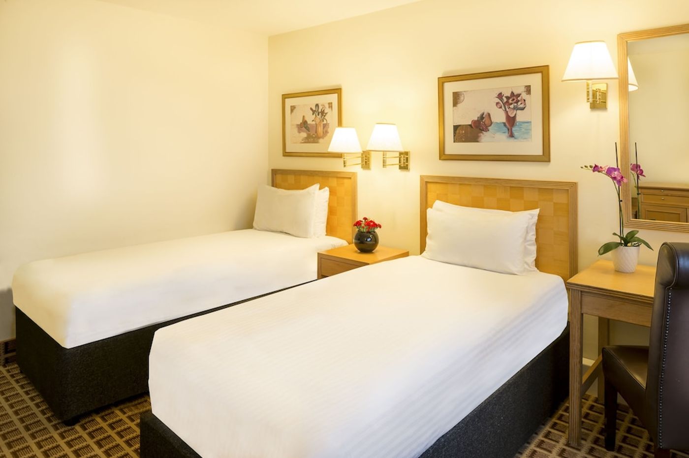expedia-3156497-10